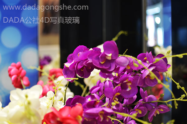 達(dá)達(dá)公社是真的嗎？-DADA達(dá)達(dá)公社4D寫(xiě)真玻璃投資優(yōu)勢(shì)分析（圖）_1