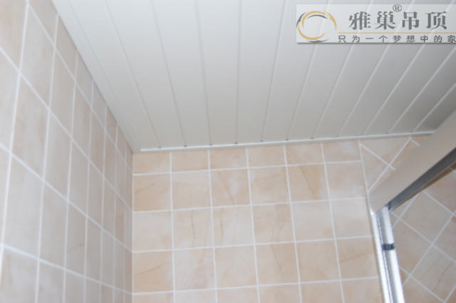 西昌廚衛(wèi)吊頂，西昌集成吊頂十大品牌，雅巢吊頂質(zhì)量最好（圖）_1