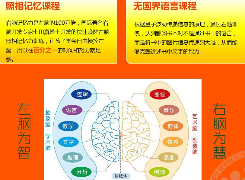 左智右慧教育加盟连锁火爆招商_4