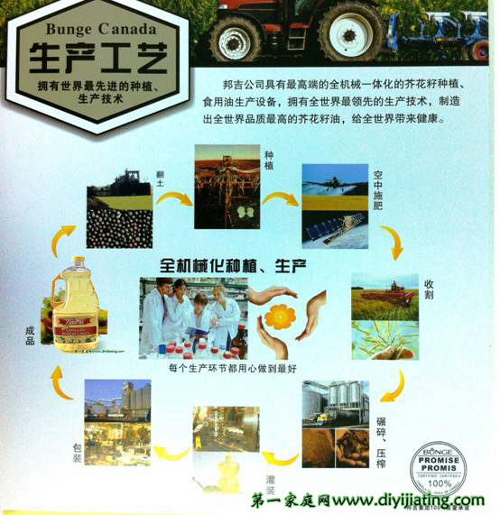 加拿大芥花籽油招商代理_4