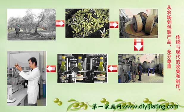 意大利特級(jí)初榨橄欖油招商代理_3