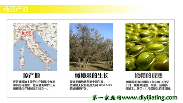 意大利特級(jí)初榨橄欖油招商代理_4