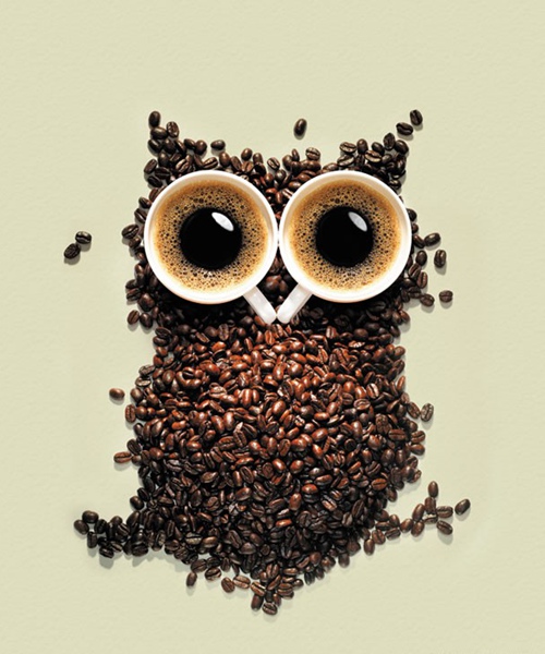【有资有味】世界上最昂贵的咖啡制作过程曝光 看完你敢喝吗?, 第四季（图）_1