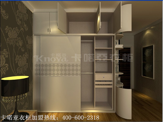 暴利項目整體衣柜加盟，讓你賺錢沒上限_1