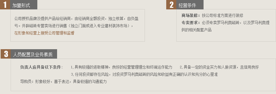 罗马利奥磁砖代理经销全国招商_5