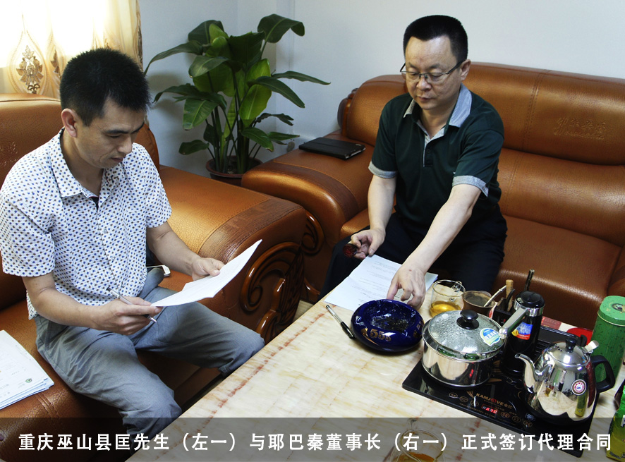 祝贺：耶巴马黛茶重庆市巫山县独家代理商成功签约（图）_2