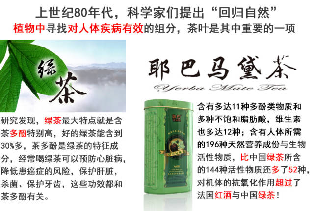 保健茶代理-耶巴馬黛茶2015年最熱門項目_2