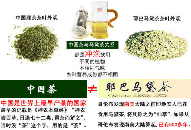 保健茶代理-耶巴馬黛茶2015年最熱門項目_3