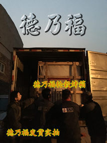 德乃福為加盟商免費配齊修復(fù)設(shè)備和材料，技術(shù)免費傳授_4