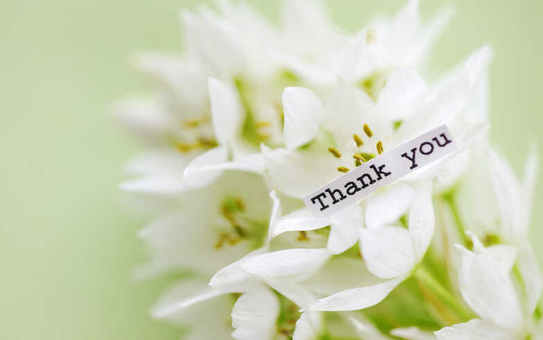 祝賀：耶巴集團(tuán)2015年1月正式啟動 誠招合作伙伴加盟代理！_13