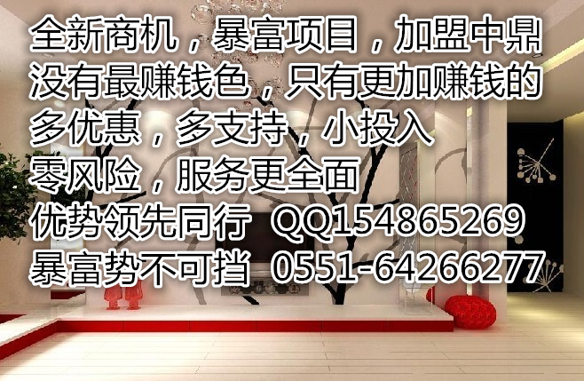 2015年無憂創(chuàng)富最賺錢加盟中鼎墻藝漆_1