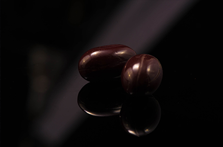 冬蟲夏草禮品招商加盟_7