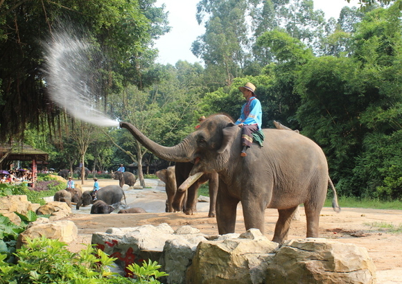 去日本旅行多少錢（圖）_1