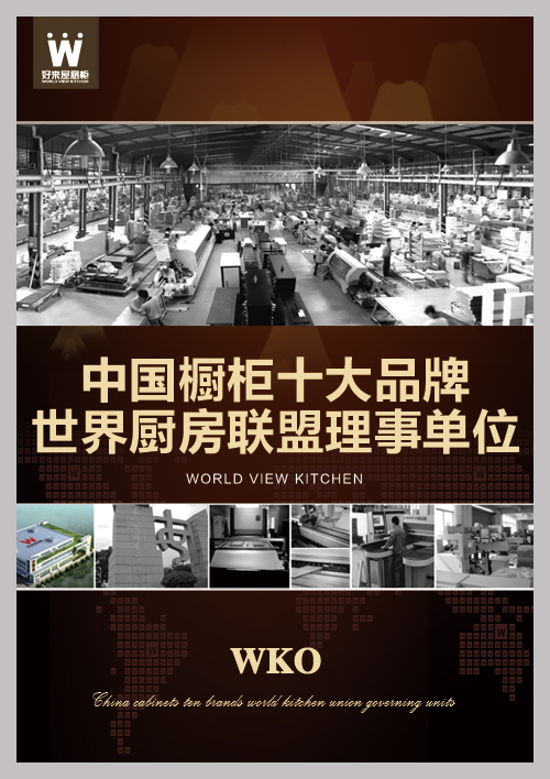 速度與激情——奔跑2015!好來屋廚柜春季招商峰會榮耀啟程（圖）_2