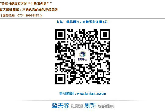 藍天豚副總孫春雷：扶持好經(jīng)銷商是我們的責任（圖）_8