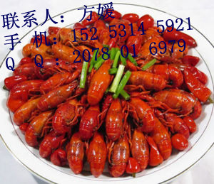 東營(yíng)麻辣龍蝦燒烤技術(shù)培訓(xùn) 學(xué)習(xí)正宗小龍蝦做法_1