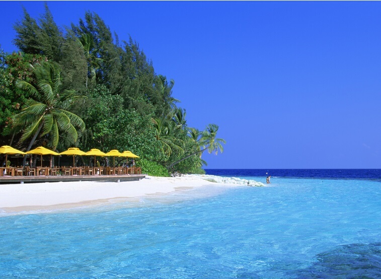 什么季節(jié)去韓國旅游最好（圖）_1