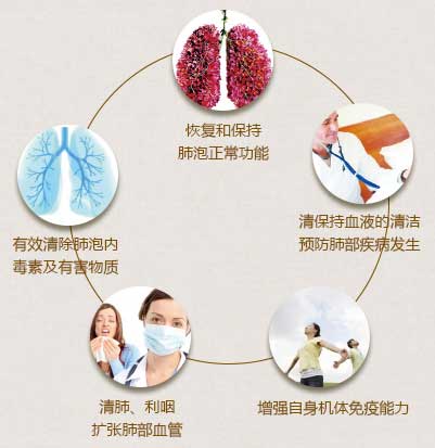 漢禾清肺羹全國招商_3