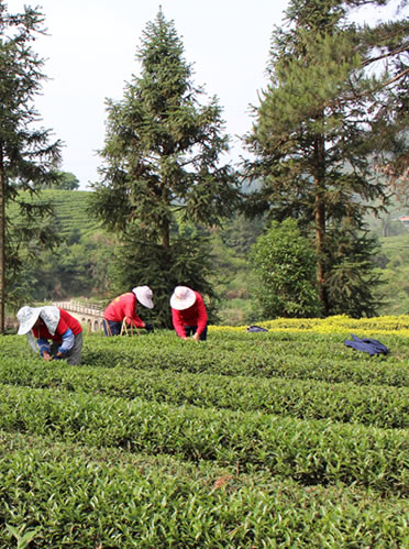 品質立業(yè)，誠信立身（圖）_1