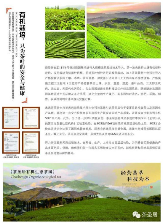 2015台湾春茶正式上市（图）_8