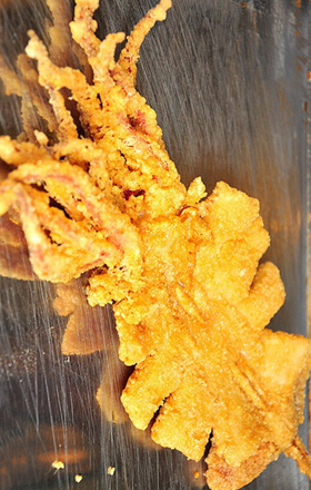 臺(tái)灣轟炸大魷魚加盟，特色轟炸大魷魚技術(shù)指導(dǎo)_1