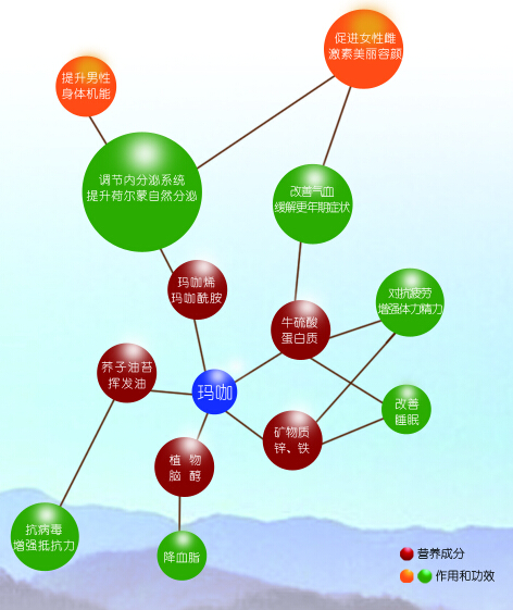 瑪咖功能-“男人的加油站,女人的美容院”（圖）_1