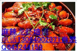 濟(jì)南麻辣龍蝦培訓(xùn)學(xué)習(xí)麻辣龍蝦做法13064002371_1