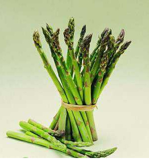 蘆筍種子價(jià)格美國(guó)蘆筍種子山東進(jìn)口蘆筍種子_1