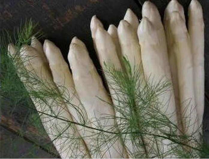 綠色蘆筍種子進(jìn)口格蘭德蘆筍種子價(jià)格_1