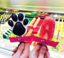 符合健康飲食標(biāo)準(zhǔn)的冰淇淋加盟店果然愛_6