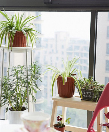 租房一族飾家心法  拿走不用謝_8