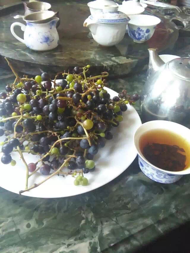 這個周末山莊度假釣大魚摘野葡萄品茶聊天看夕陽（圖）_3