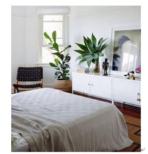 臥室五種擺設(shè)不可取 要牢記_4