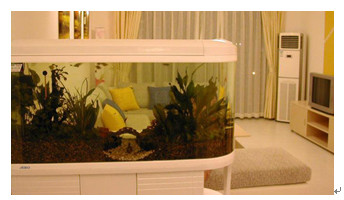 臥室五種擺設(shè)不可取 要牢記_5