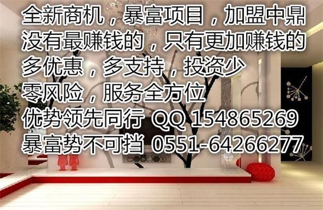 环保建材加盟 中鼎墙艺漆厂家招商 艺术涂料_2