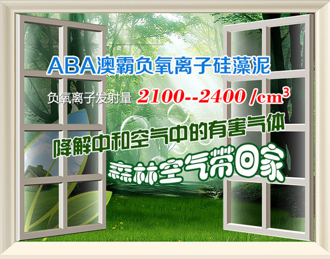 澳霸硅藻泥加盟賺錢嗎？前景怎么樣？_1