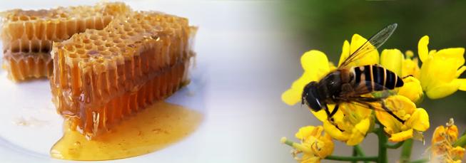 罗浮山蜂蜜加盟优势-罗浮山蜂蜜加盟_1