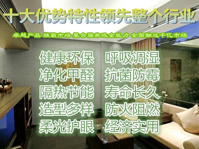 硅藻泥新品/國內(nèi)領(lǐng)先產(chǎn)品中鼎硅藻泥_1