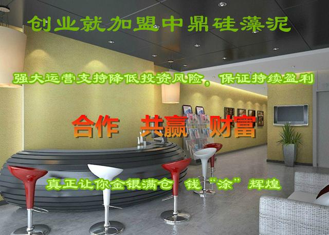 硅藻泥新品/國內(nèi)領(lǐng)先產(chǎn)品中鼎硅藻泥_2