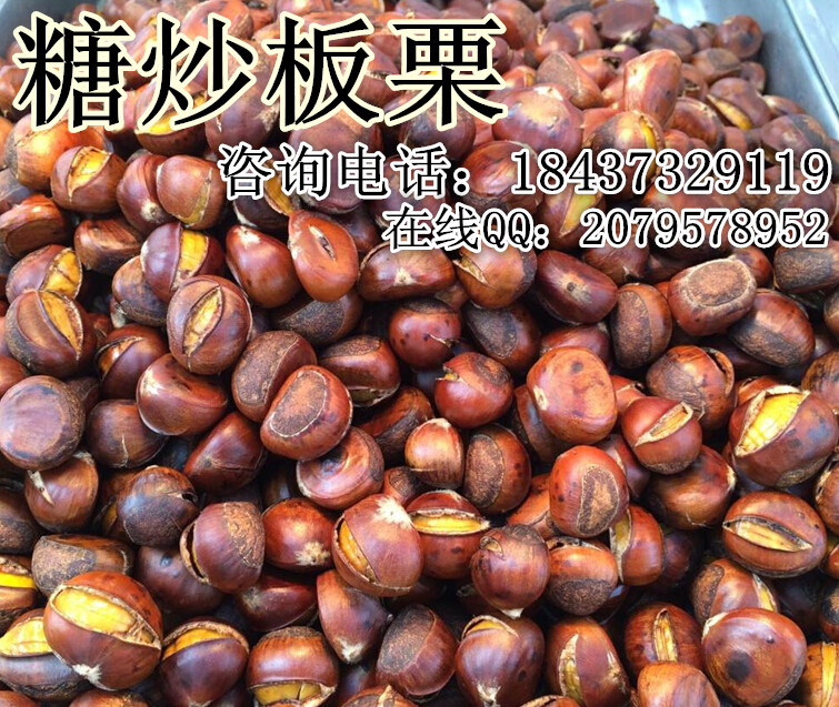 河北小吃培訓哪里強糖炒板栗怎樣炒好吃（圖）_1