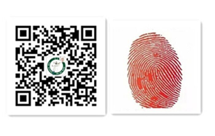 蘭州牛肉面加盟-蘭州炎黃金大碗牛肉面加盟（圖）_4