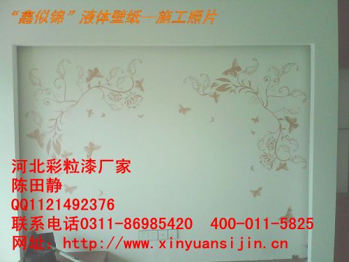 河南哪些建材項目好 鑫似錦3D彩粒漆支持多_1