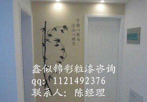 內(nèi)蒙古下半年干什么項(xiàng)目賺錢?鑫似錦3D彩粒漆輕松致富_1