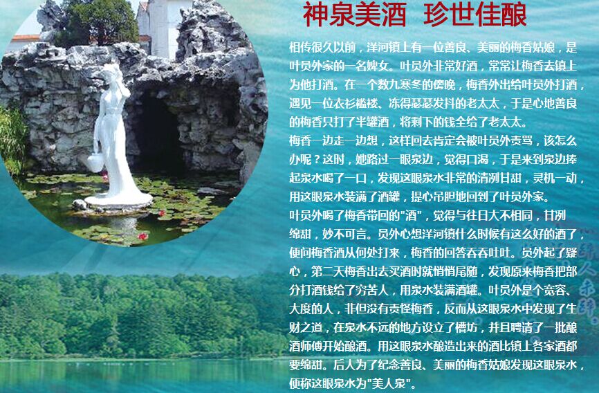 洋河大曲加盟连锁全国招商,洋河大曲加盟费是多少_3