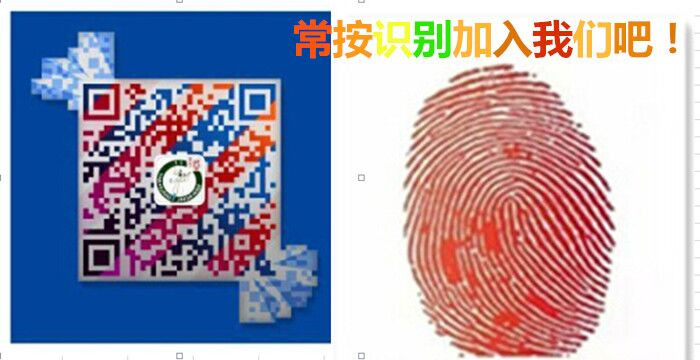 甘肅/青海/蘭州美食拉面加盟/正宗蘭州牛肉面加盟/您的首席加盟商-蘭州炎黃金大碗牛肉面投資?。▓D）_5