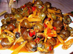 風味嗦螺技術技術培訓機構_3