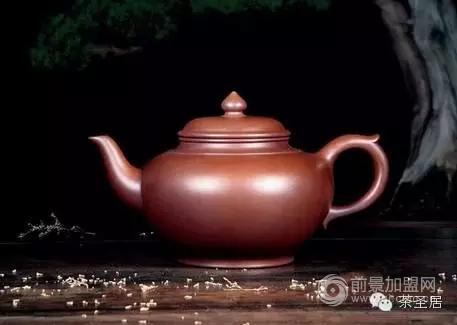 『品茶』懂茶，就要喝得对茶！（图）_3