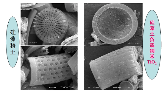 蓝天豚硅藻泥发布“复合型纳米TiO2负载技术”（图）_2