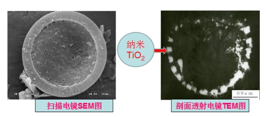蓝天豚硅藻泥发布“复合型纳米TiO2负载技术”（图）_3