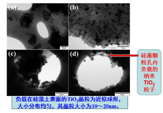 蓝天豚硅藻泥发布“复合型纳米TiO2负载技术”（图）_4